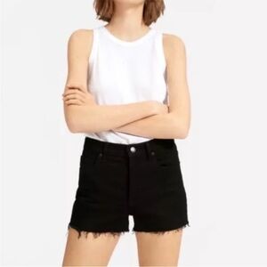 Everlane The Cheeky Denim Shorts Size 29